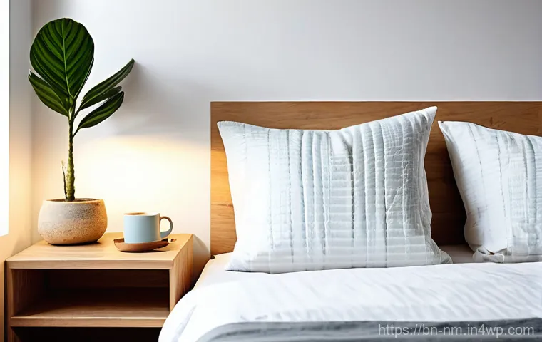 저EMF 집 꾸미기  인테리어 아이디어 - **Prompt 1: Peaceful, Tech-Free Bedroom**
    "A serene and calm bedroom, designed for optimal sleep...